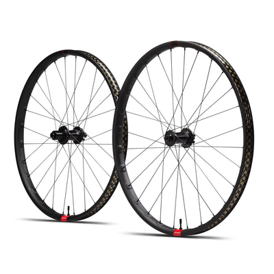 Reserve 30 HD 29" Wheelset, DT 350 hubs, 110/148, XD 90T, full view.