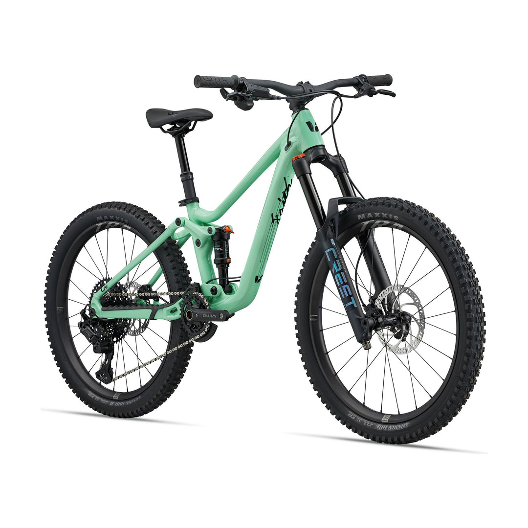 Giant liv 24 inch bike clearance