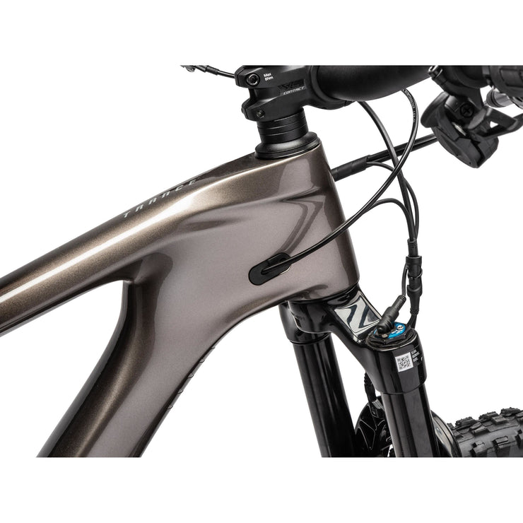 2022 Giant Trance Advanced Pro 29 2, Metal/Black / Chrome, cable routing view.